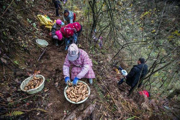 How do we grow the cynics