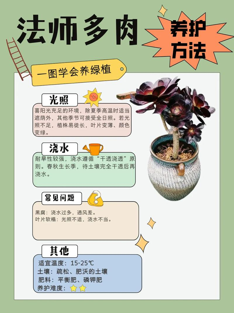 多肉植物的种植方法和注意事项