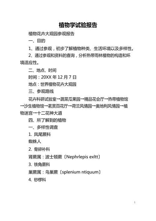 室内种植的植物