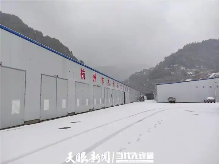 最先进食用菌种植技术