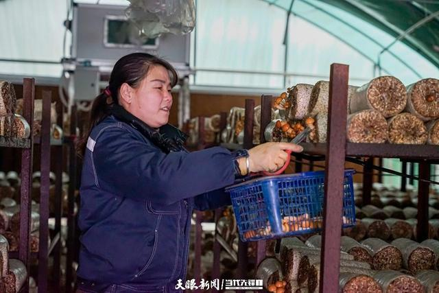 Best food-bacterium cultivation techniques