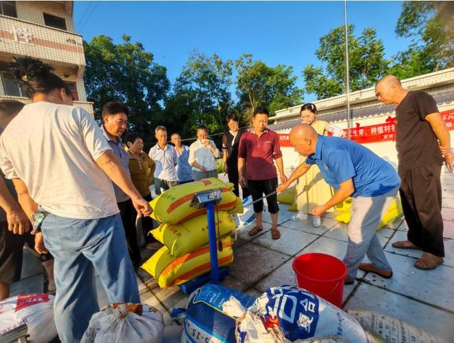 高粱种植技术视频