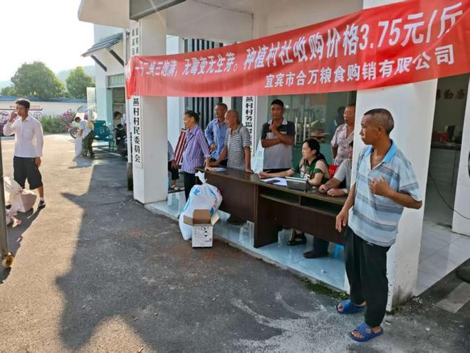 高粱种植技术视频