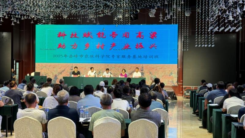 Sorghum growing technology video