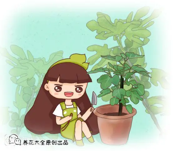 The way the ropes are taped