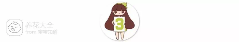 The way the ropes are taped