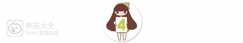 The way the ropes are taped