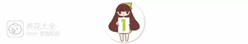 The way the ropes are taped