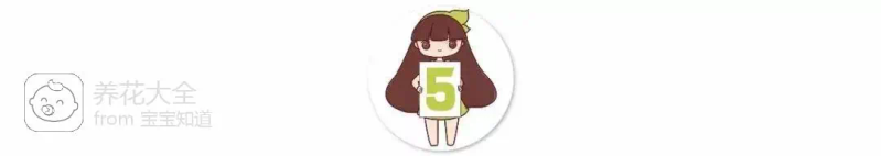 The way the ropes are taped