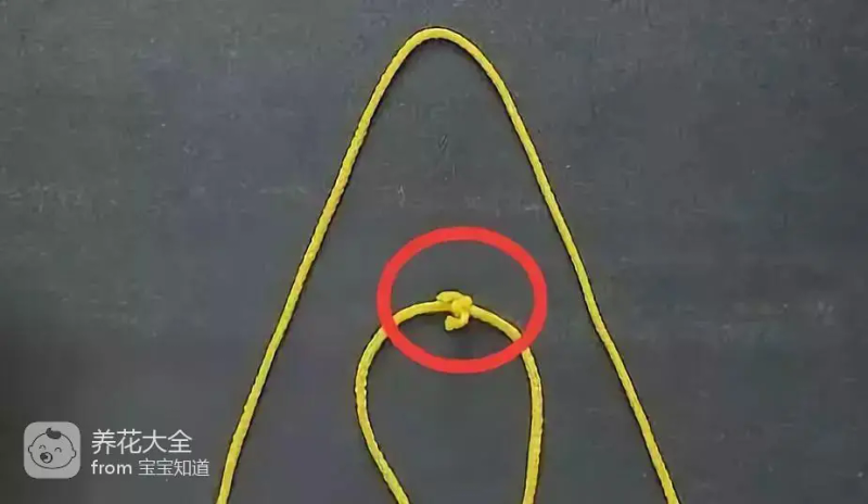 The way the ropes are taped