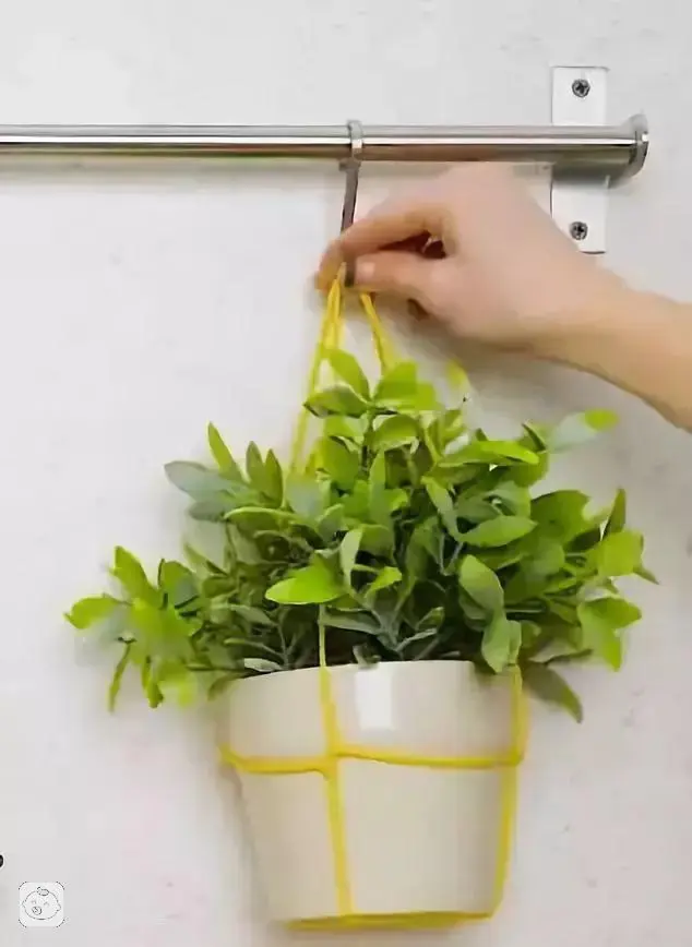 The way the ropes are taped