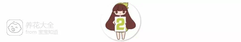 The way the ropes are taped