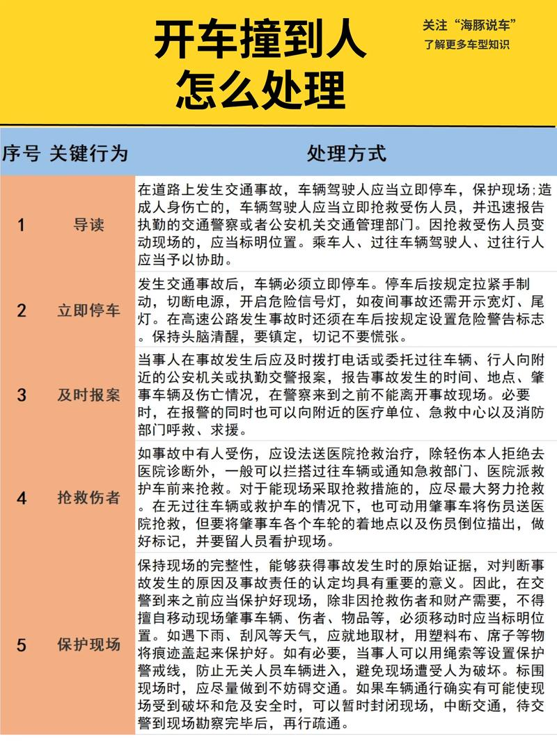 交通事故安全经验分享