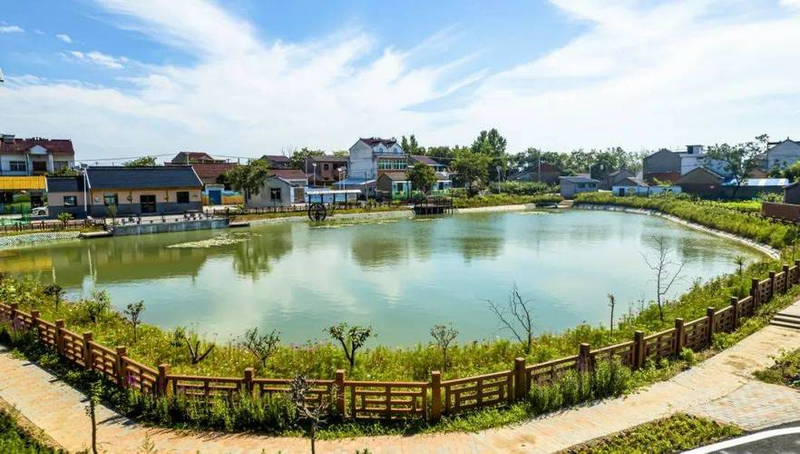 生姜种植技术视频