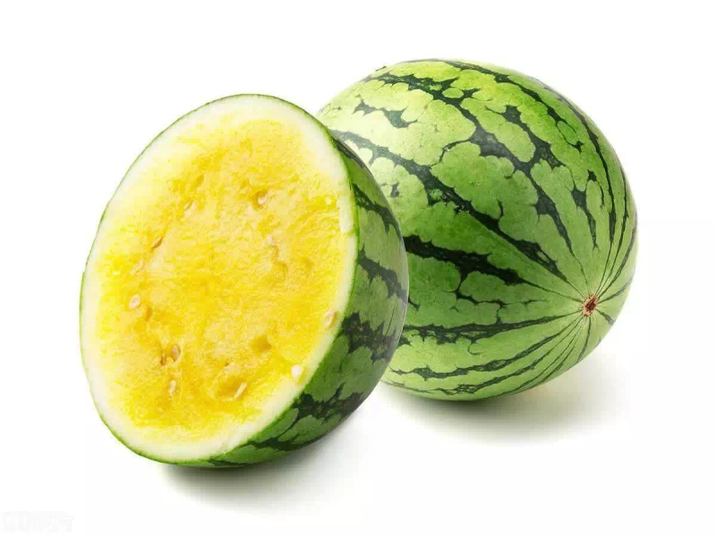 The technology of growing melons in early spring