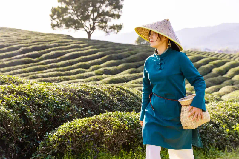 2026，搞茶叶的茶叶人，能活下去的不多！