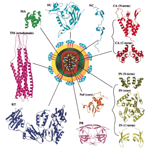 Characteristics of aids tumours