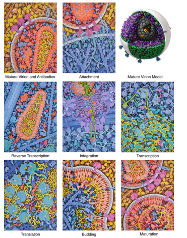 Characteristics of aids tumours
