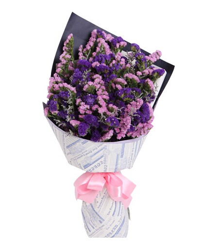 Don't forget how my seeds grow