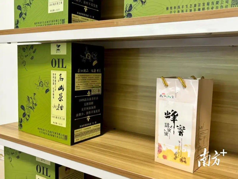 软枝油茶种植技术