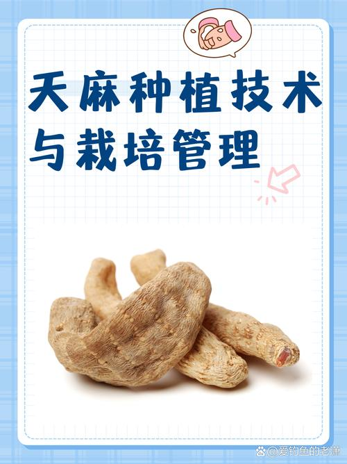 How do we grow the cynics