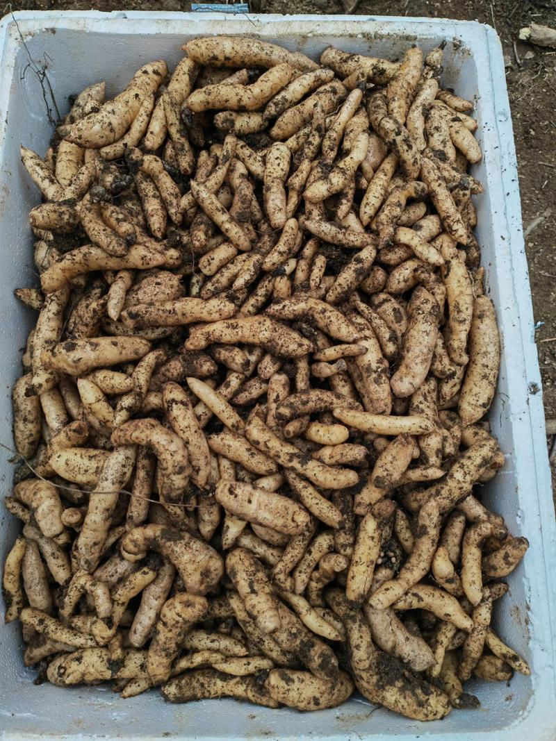 How do we grow the cynics