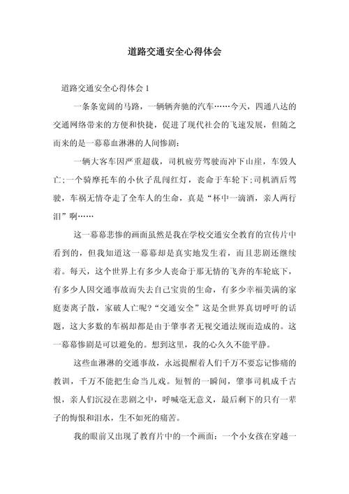 交通事故安全经验分享