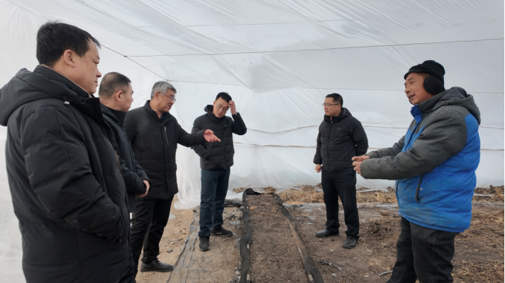 早春大棚甜瓜种植技术