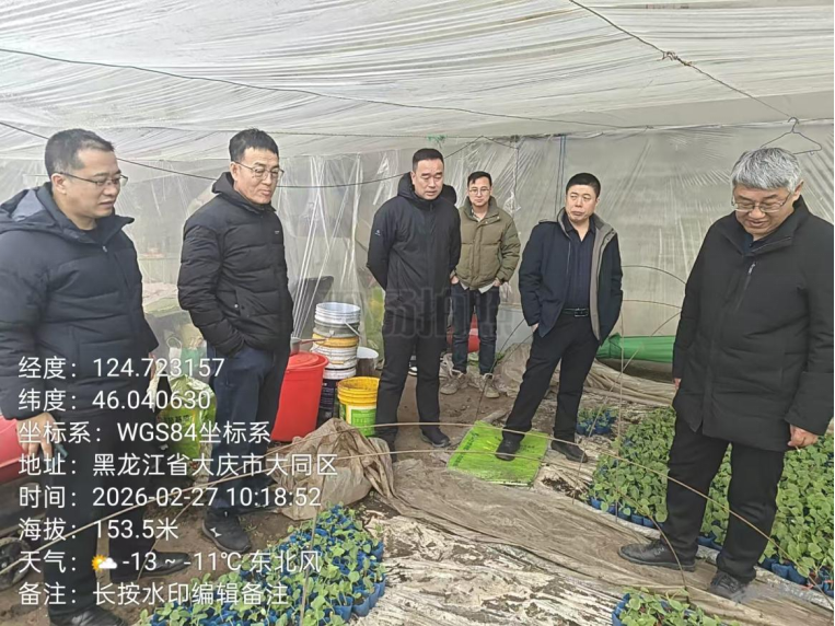 早春大棚甜瓜种植技术