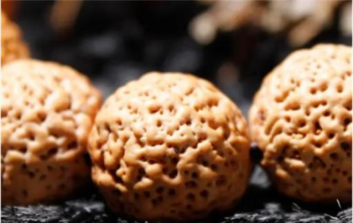 Methods and care for the cultivation of multi-fatal plants