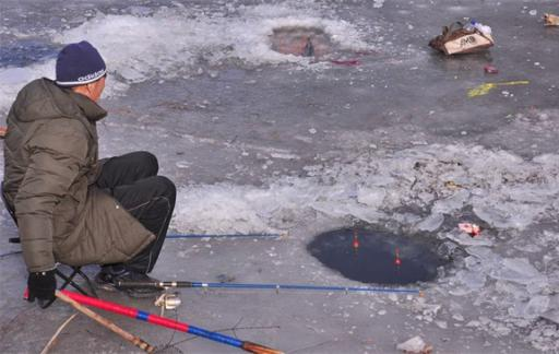 Methods and care for the cultivation of multi-fatal plants