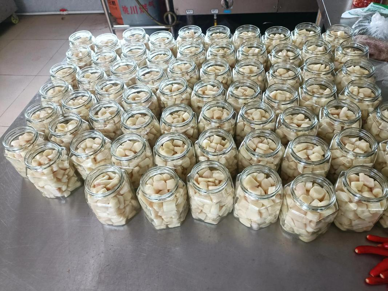 生姜种植技术视频