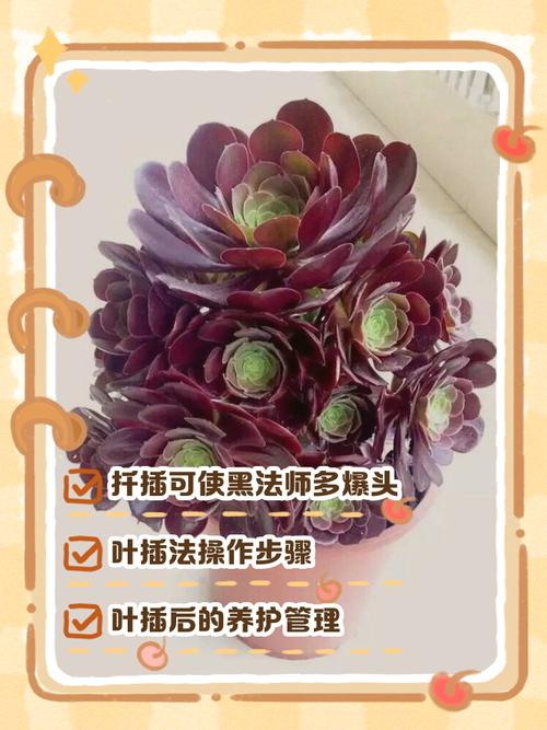 Methods and care for the cultivation of multi-fatal plants