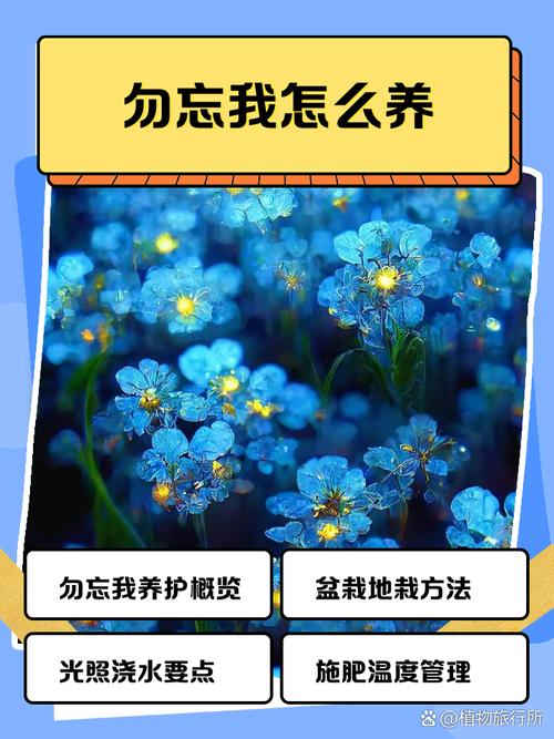 Don't forget how my seeds grow