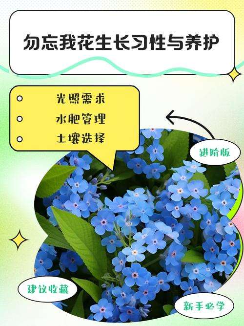 Don't forget how my seeds grow