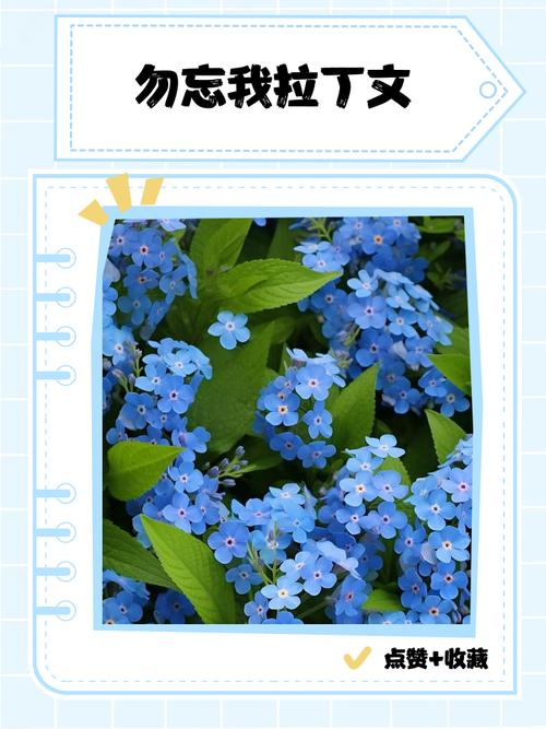 Don't forget how my seeds grow