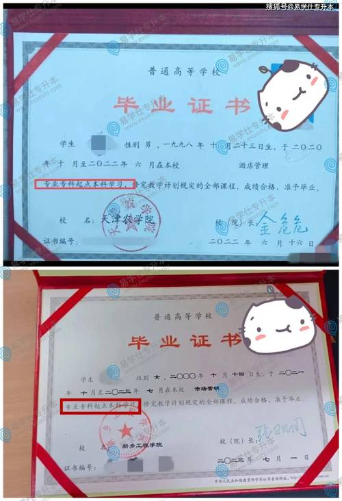 远程教育网络答辩经验