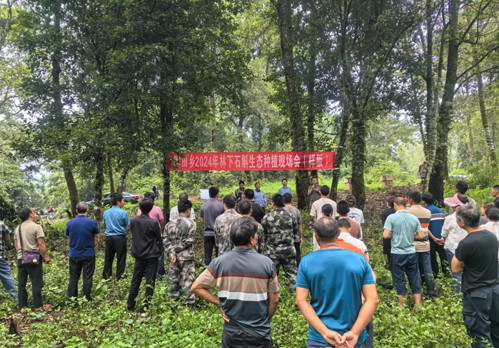 石斛的种植技术