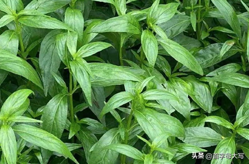 Family farming methods in heartland