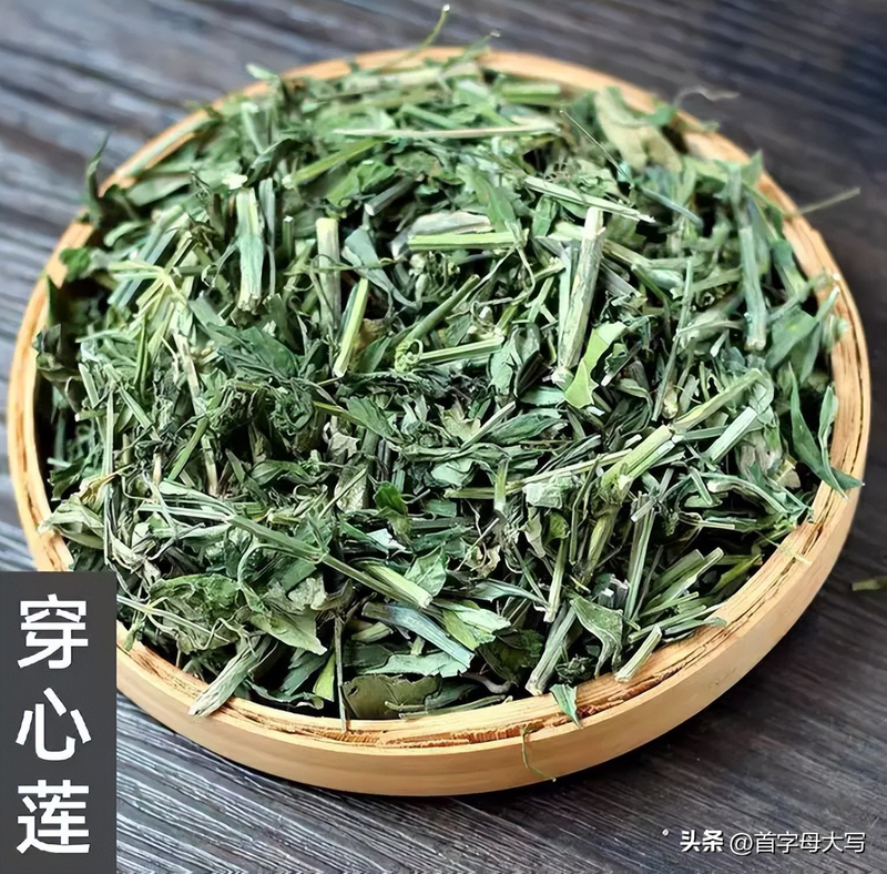 Family farming methods in heartland