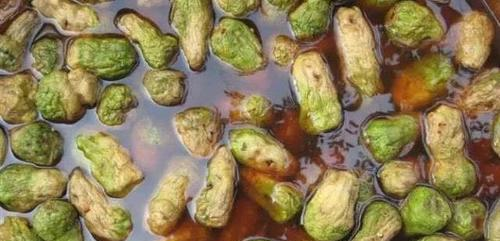 芥菜的种植方法