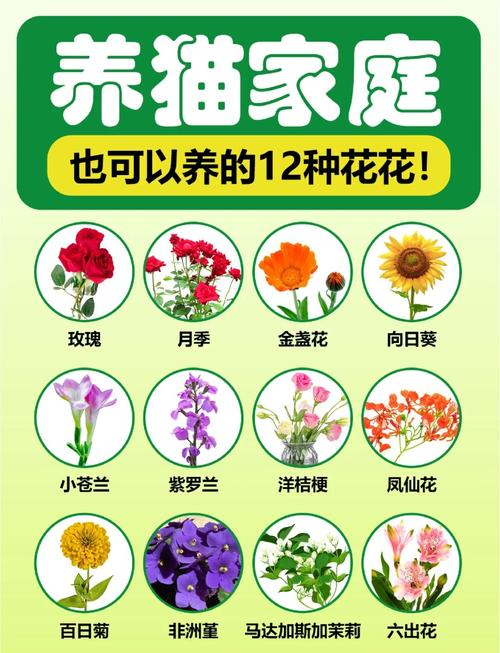茶花的种植方法