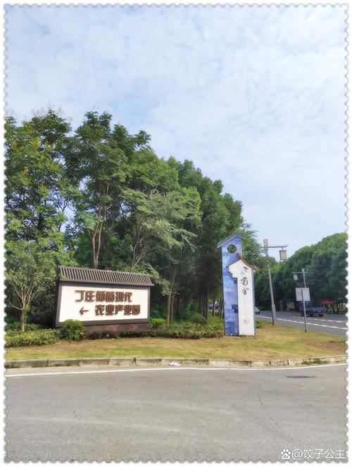 红乳葡萄种植技术