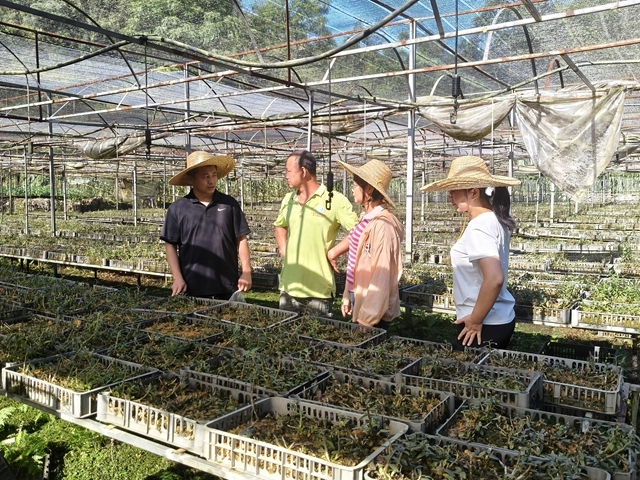 Specializing in iron and stone cultivation techniques