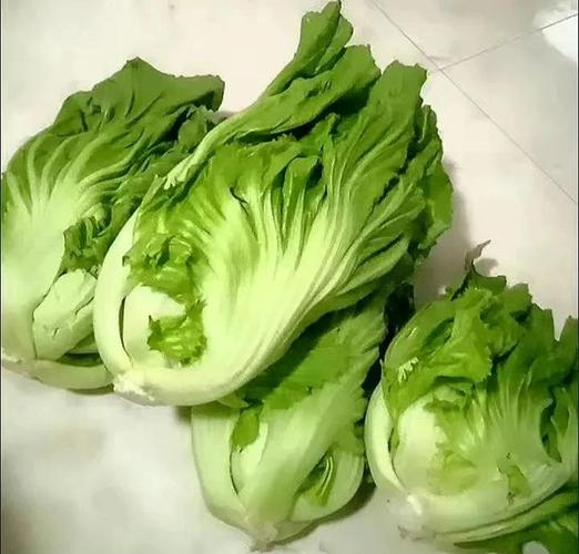 The method of planting mustard