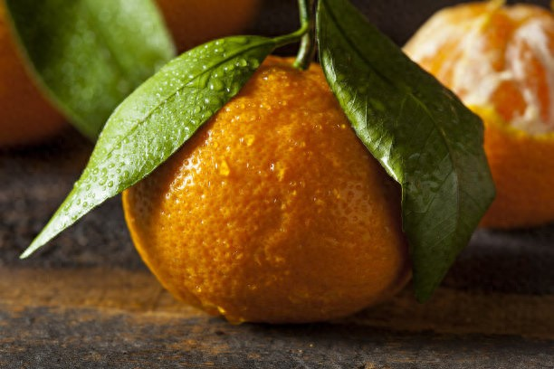 What kind of fruit tree is it