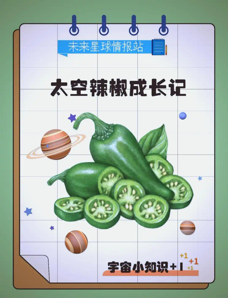 Picture of the moon growing vegetables