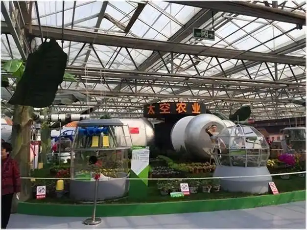 Picture of the moon growing vegetables