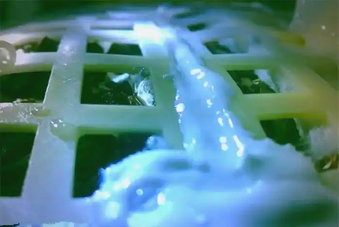 Picture of the moon growing vegetables