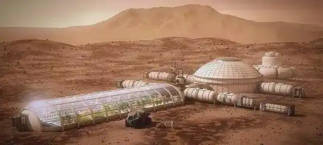 Picture of the moon growing vegetables